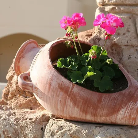 Aphrodite Sands Aparthotel Mandria (Paphos)