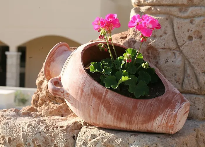 Aphrodite Sands Aparthotel Mandria (Paphos)